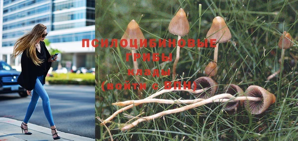 MESCALINE Волосово