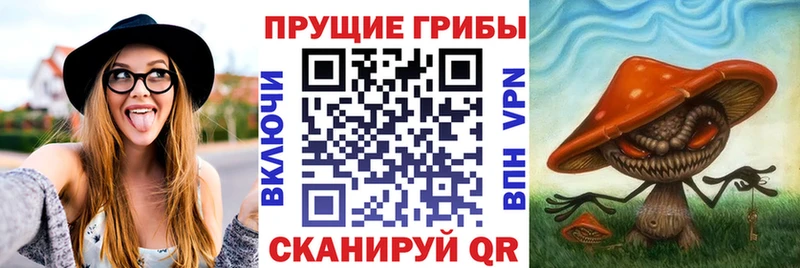 ссылка на мегу зеркало Рязань Псилоцибиновые грибы GOLDEN TEACHER купить наркоту